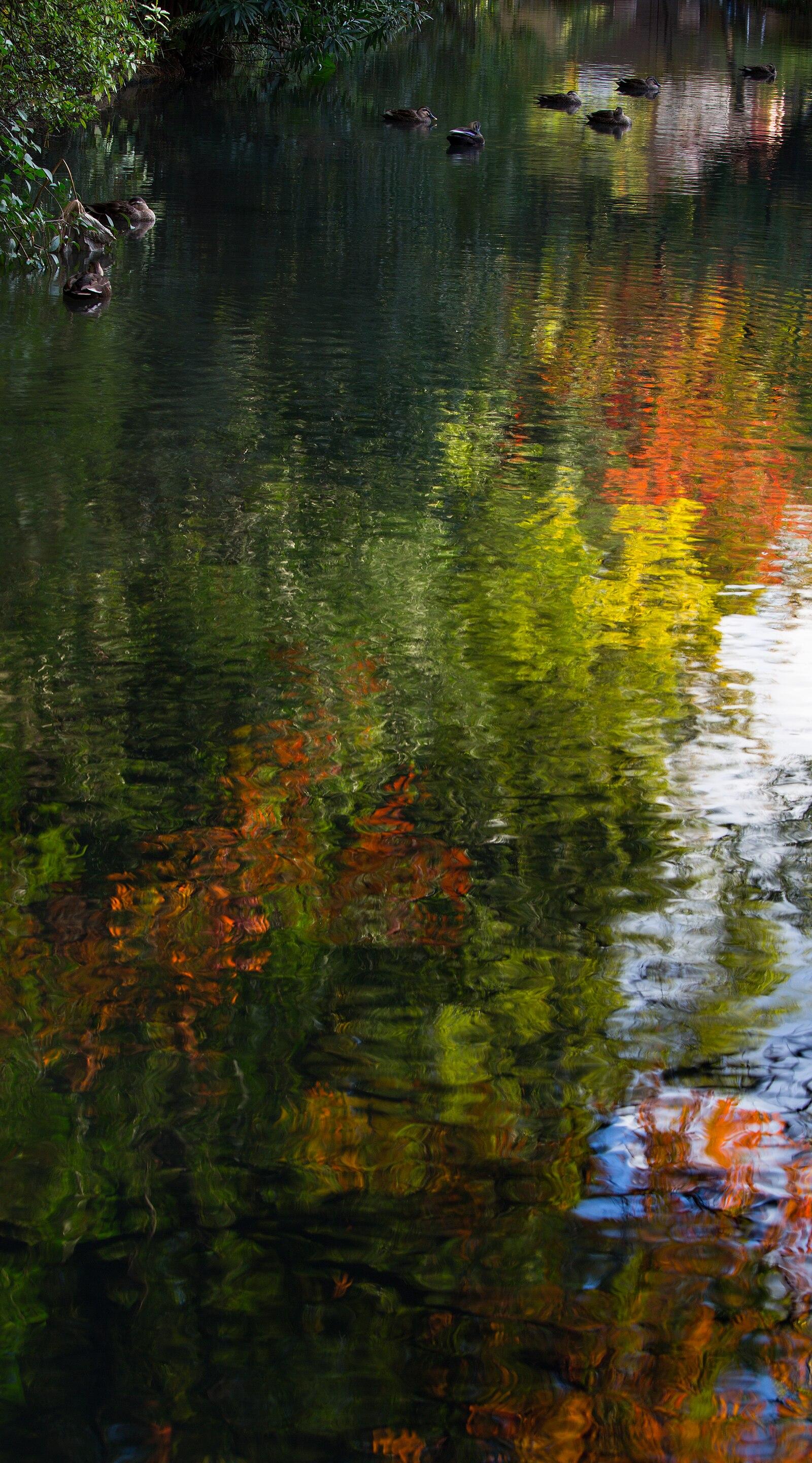 Scenery of the pond at Shitennō ji Honbō Park in Osaka, November 2015